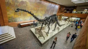 Tyrrell Museum of Paleontology