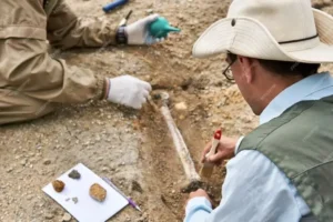 Career in Paleontology