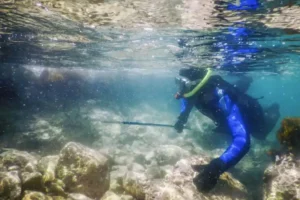 What is Oceanography