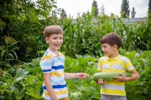 Community Gardening benefits