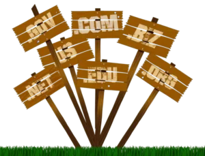 Top Level Domain names (TLD) in the Internet Infrastruture