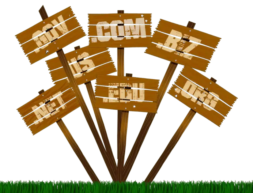 Top Level Domain names (TLD) in the Internet Infrastruture