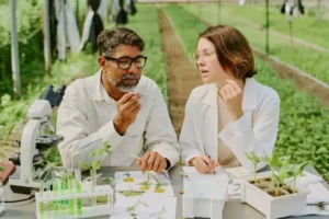 Green Chemistry and sustainable environment