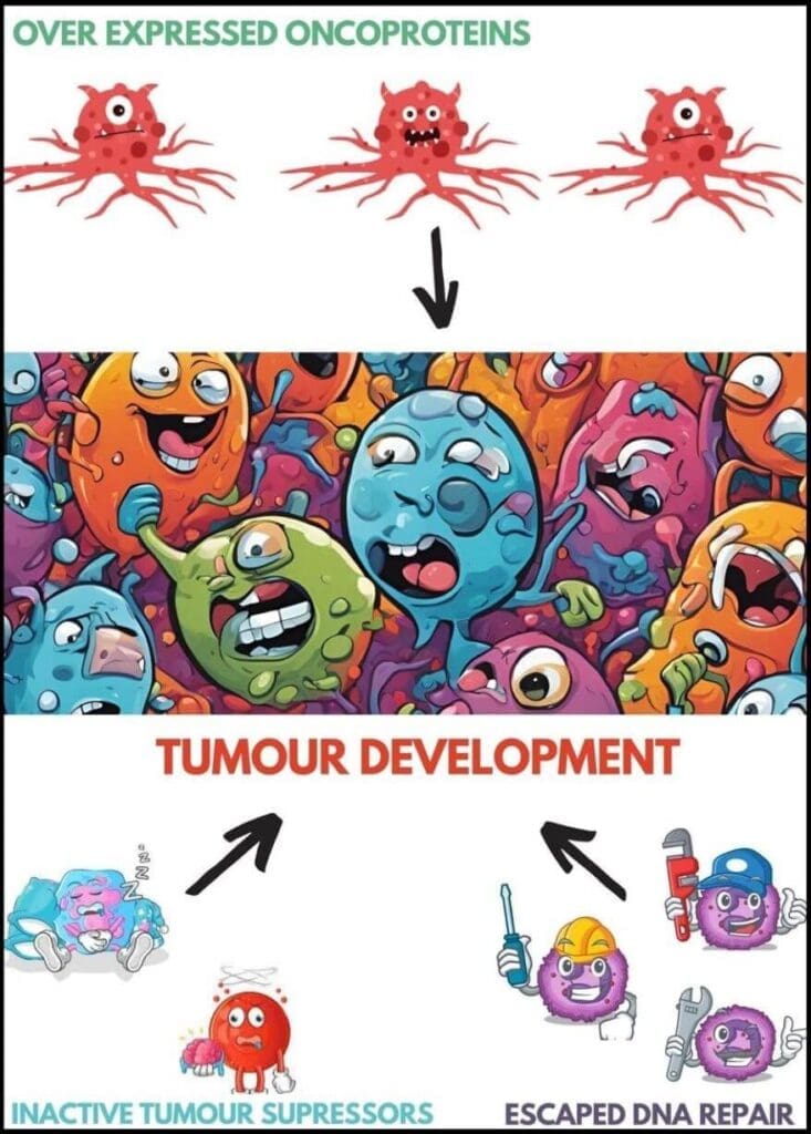 The Imbalance between growth and control resulting in Cancer development
