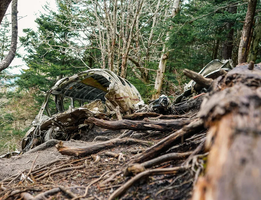 Effects of Deforestation