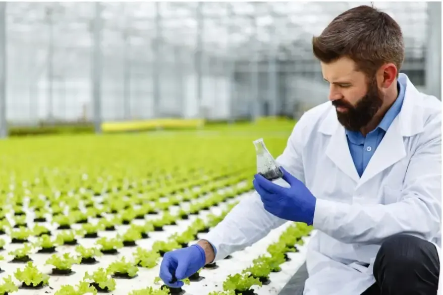 Impacts of Nitrogen Fixation