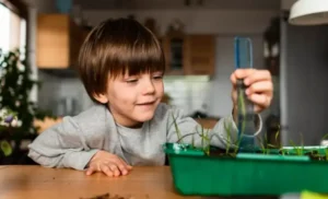 Pros and Cons of Plant Reproduction