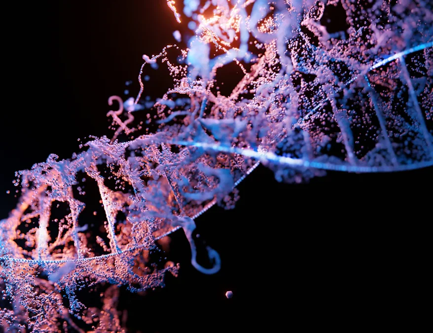 Examples of Morphology