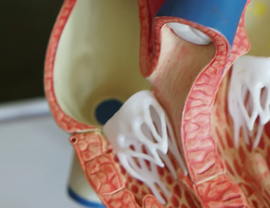 Genetic Diversity and Human Evolution