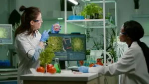 Morphology in Biology