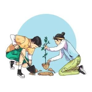 Root have a different functions and benefits