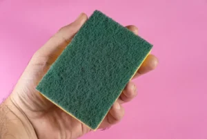 wood sponge