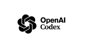 openAI Codex