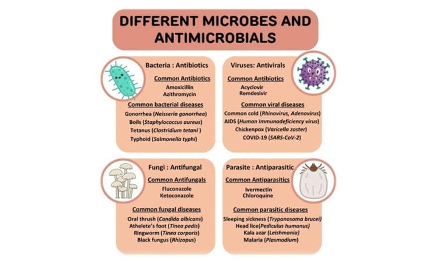Antimicrobials and the target germs