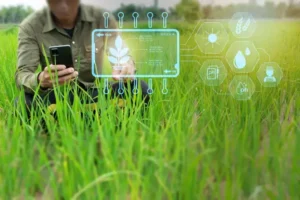 Smart Farming and Technological Role in Crop Scouting
