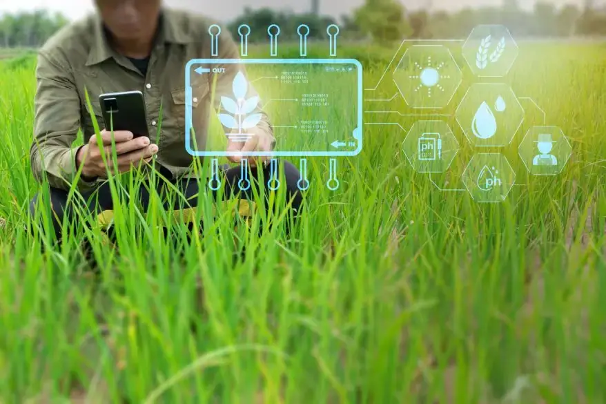 Smart Farming and Technological Role in Crop Scouting