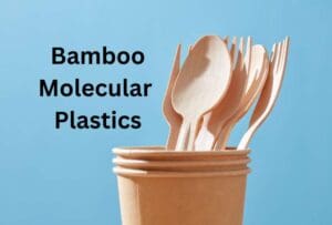 Bamboo Molecular Plastics