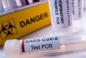 PCR Amplification Kits