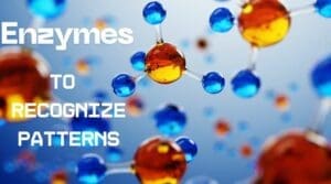 chemical computer enzyme network