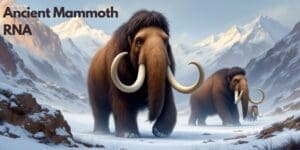 woolly mammoth RNA biology