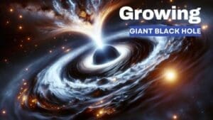 Growing Giant Black Hole