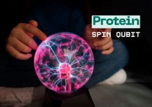 Protein Spin Qubit