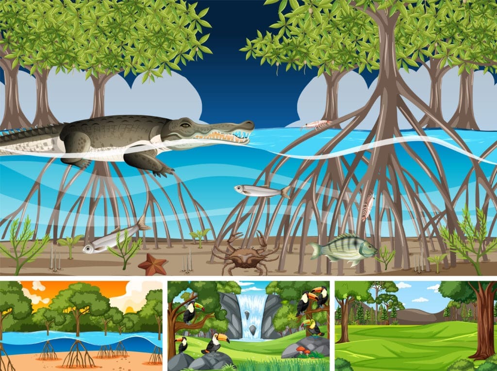 Pneumatophore research future