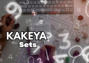 Kakeya Sets