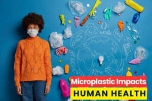 Microplastics Impact on Human Health