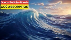 Role of Asymmetric CO2 Transfer