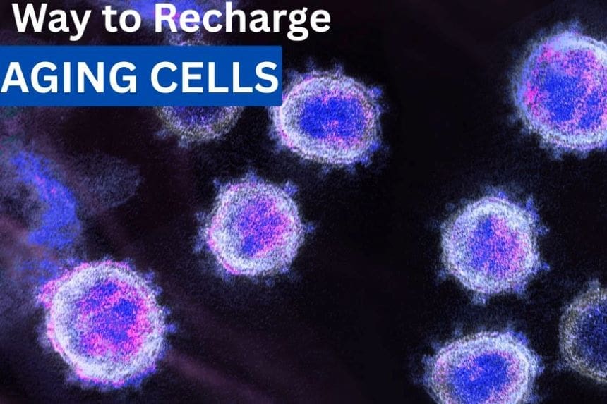 recharge aging cells