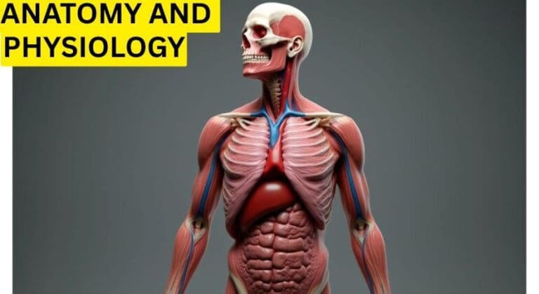 Anatomy Insights &amp; Trends | ENTECH Online