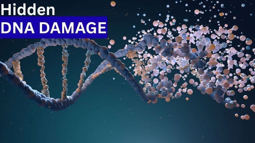 dna damage