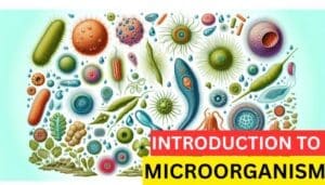 Introduction to Microorganisms