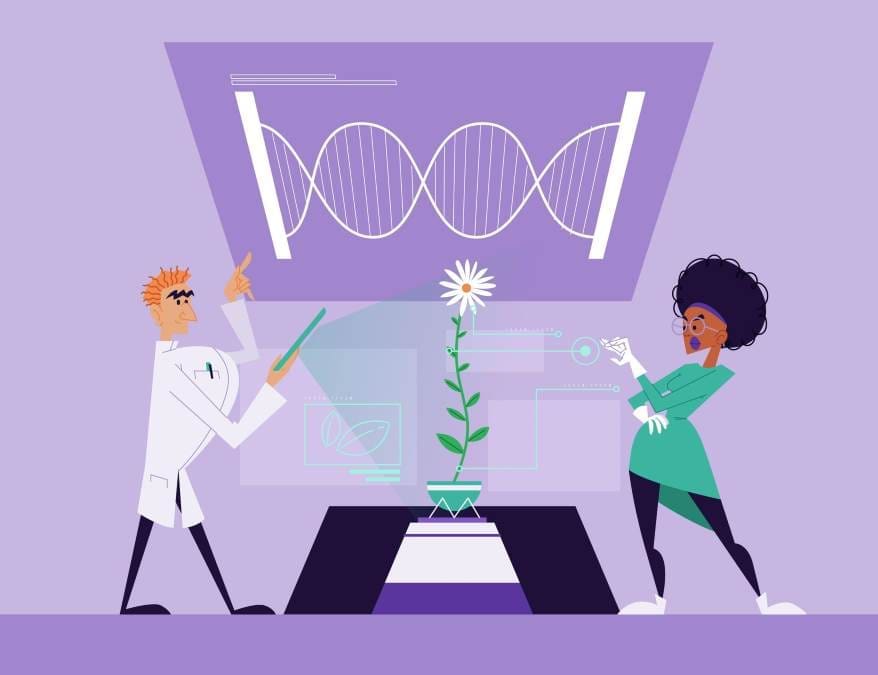 Plastid genome analysis (81 genes, 64 genomes) for commercial biotech applications