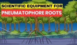scientific equipment for pneumatophore roots