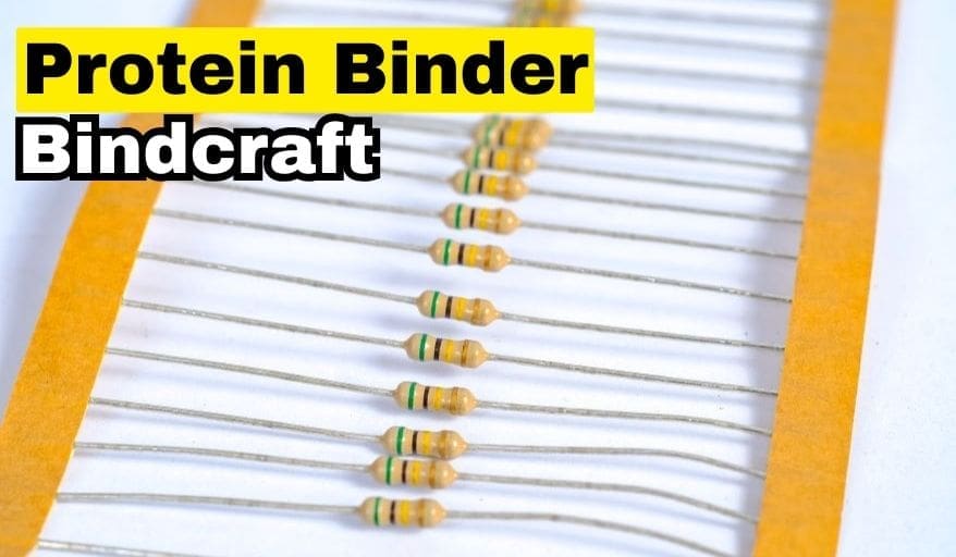 One-shot protein binder design with BindCraft