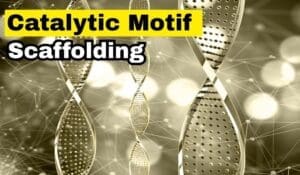 Catalytic Motif Scaffolding