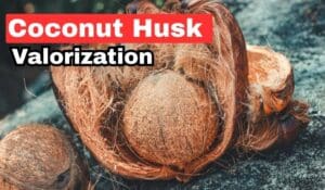 Coconut husk valorization to remove ciprofloxacin