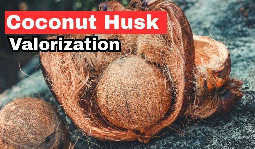 Coconut husk valorization to remove ciprofloxacin