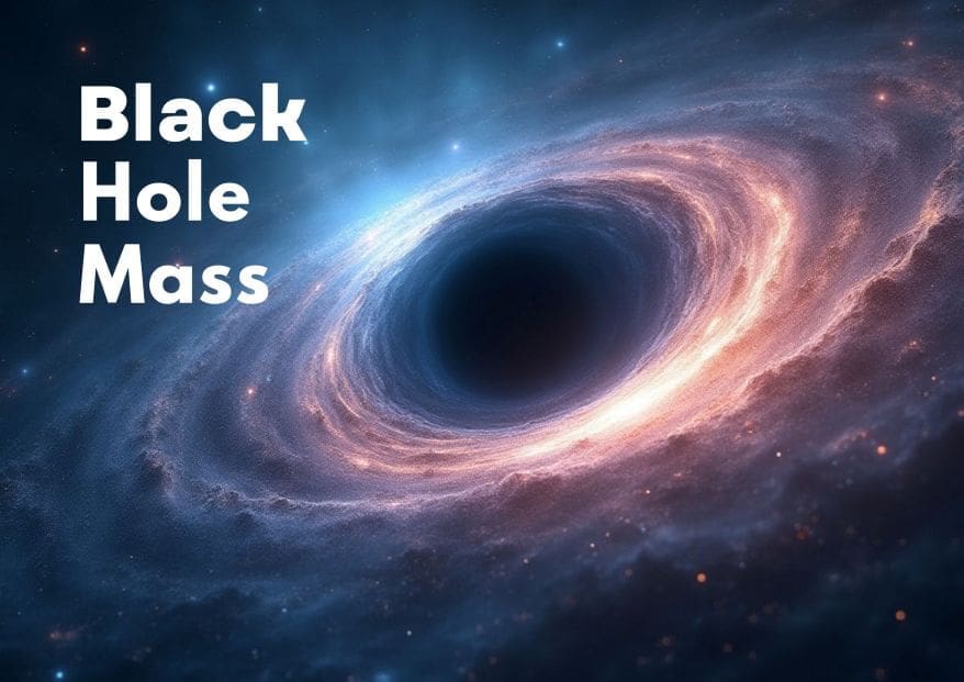 Black Hole Mass