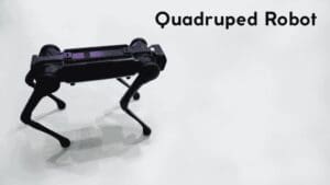 quadruped robot learning to walk