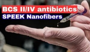 BCS II/IV Antibiotics in SPEEK Nanofibers