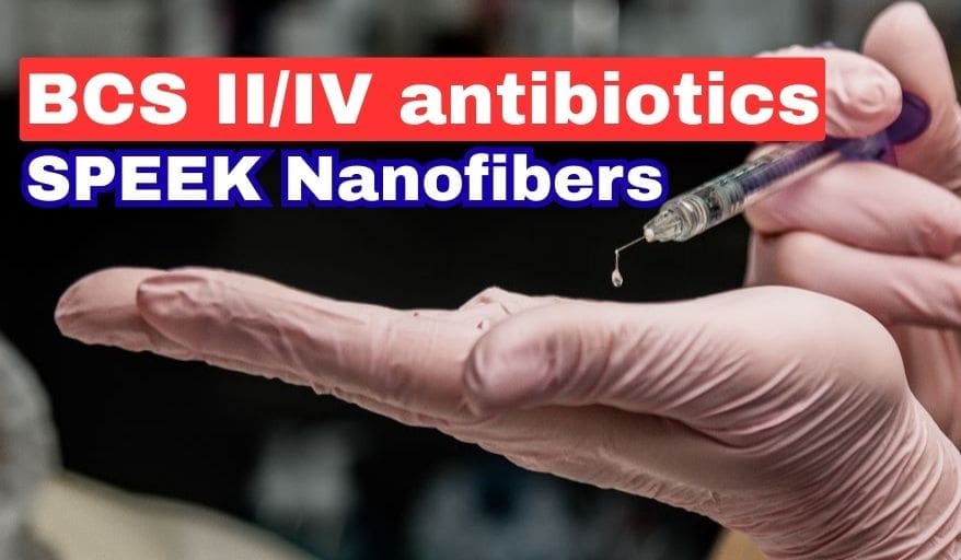BCS II/IV Antibiotics in SPEEK Nanofibers