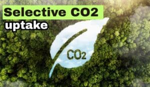 Selective CO2 uptake