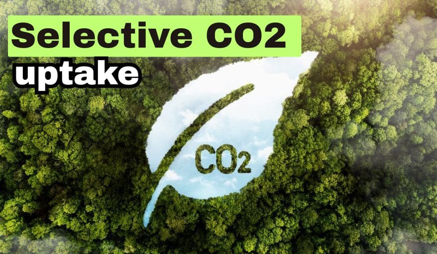Selective CO2 uptake
