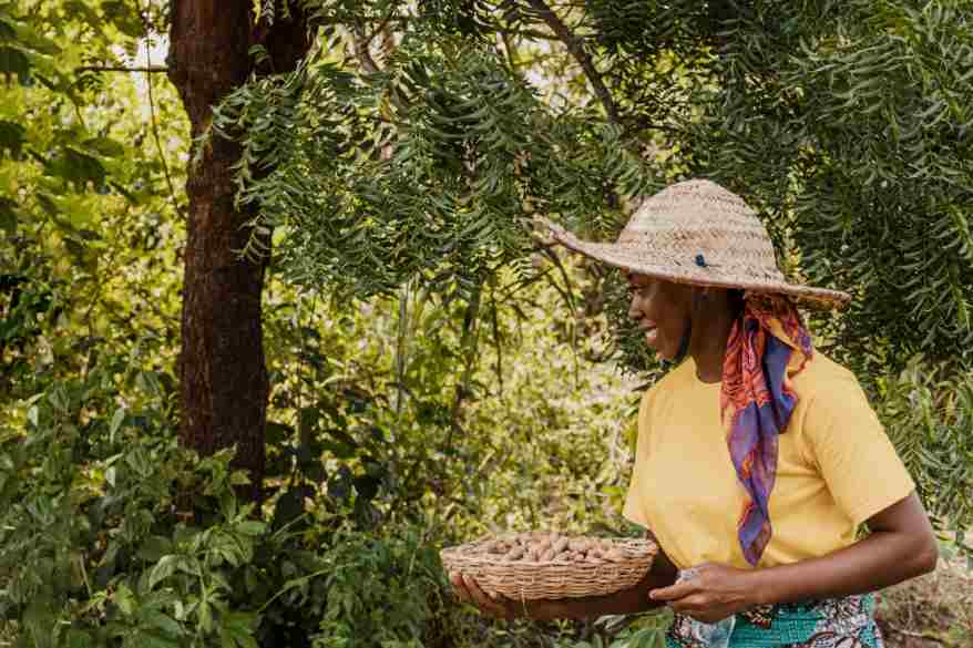 Uganda's useful plants in rituals