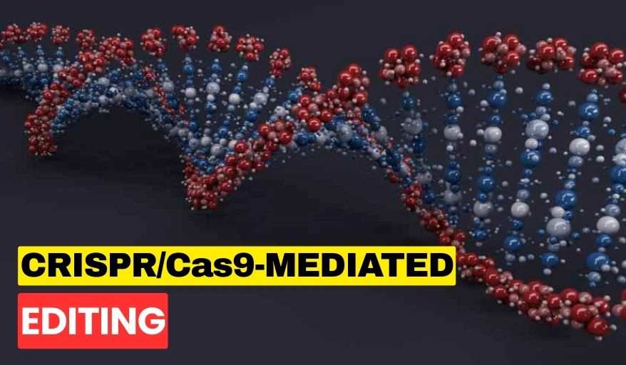 CRISPR/Cas9-mediated editing
