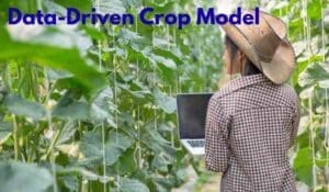 data-driven crop model