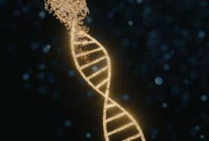 enzymatic DNA synthesis